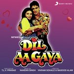 Dil Aa Gaya - Udit Narayan Song Download